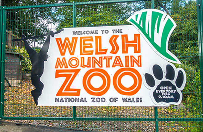 Welsh Mountain Zoo