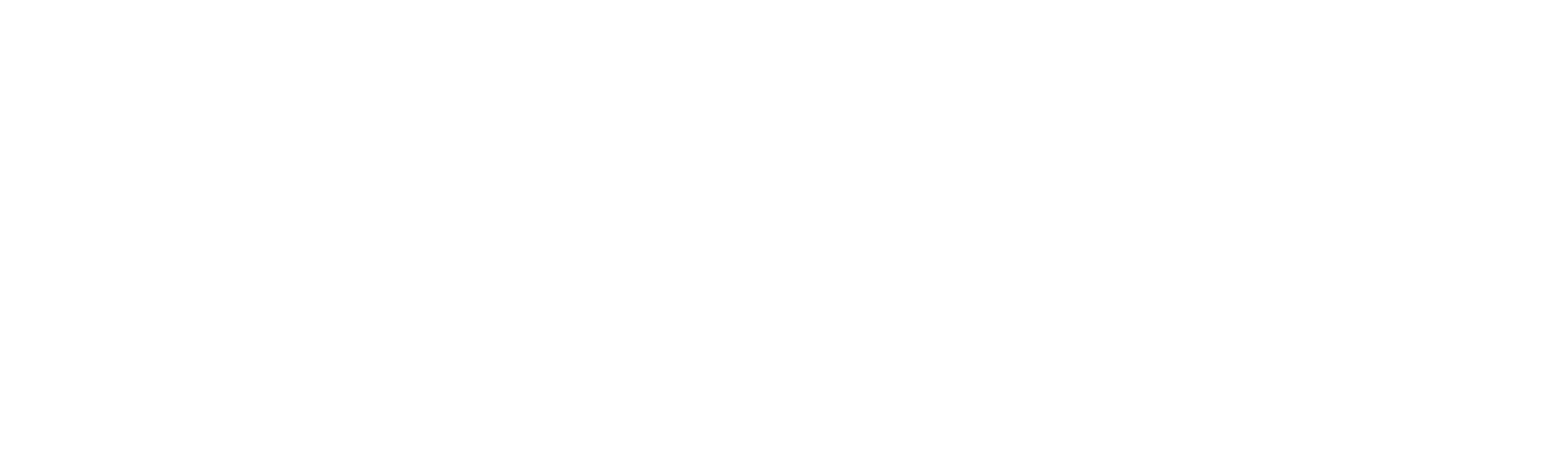 Adventure Cinema in Partnership with Ring Logo
